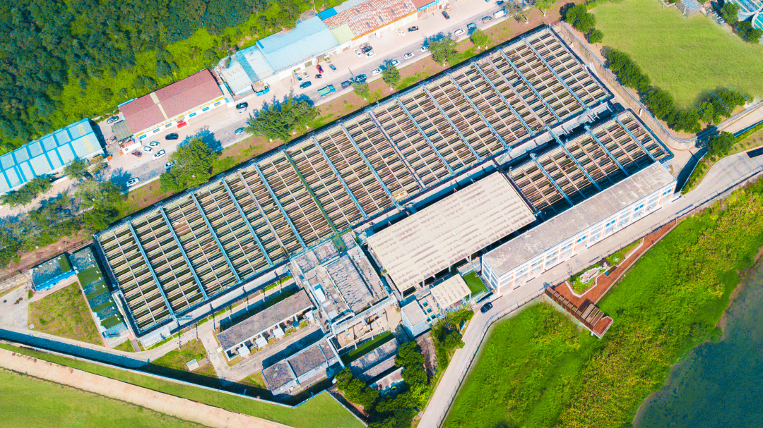 2121·Ç·²¡¤(ÖйúÓÎ)ÌåÓý¹Ù·½ÍøÕ¾