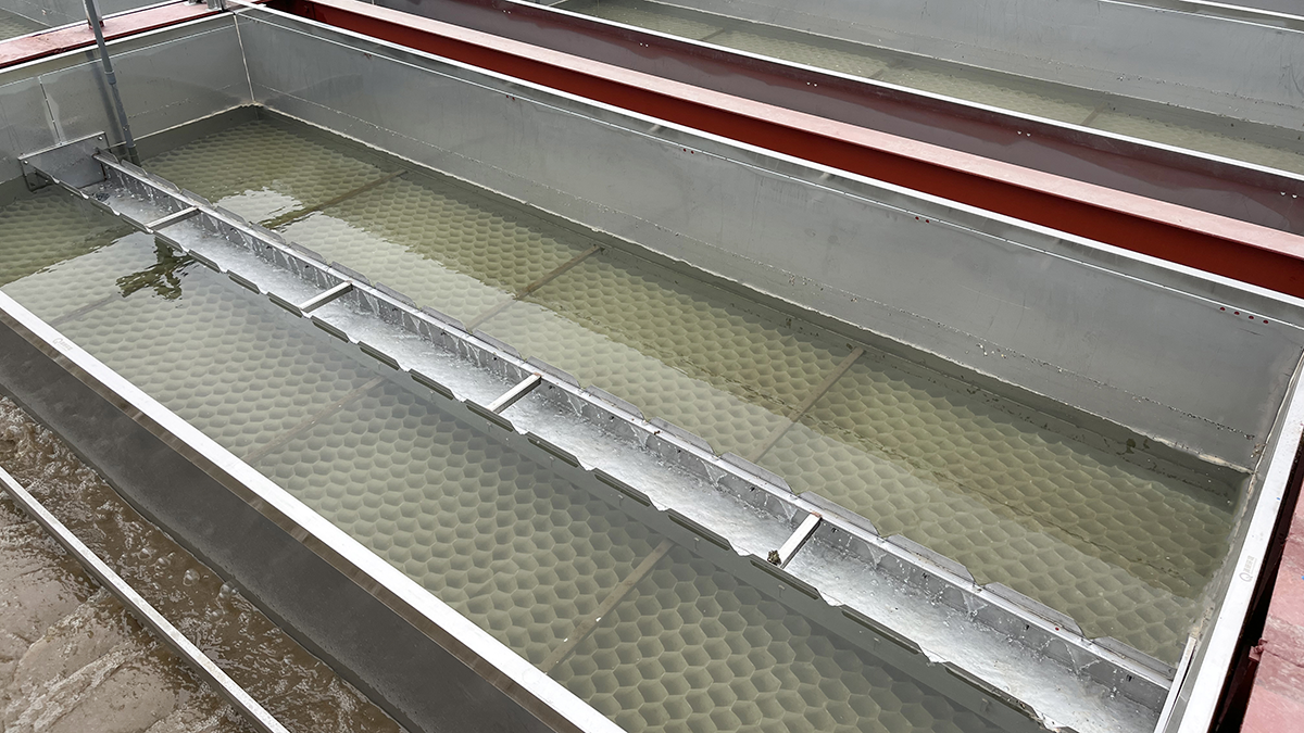 2121非凡·(中国游)体育官方网站